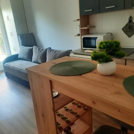 Nikolaj Apartment Banja Koviljaca